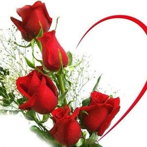 Meet your Posher, Dora